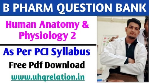 Human Anatomy And Physiology 2 B Pharm 2nd Semester Question Bank PDF FREE